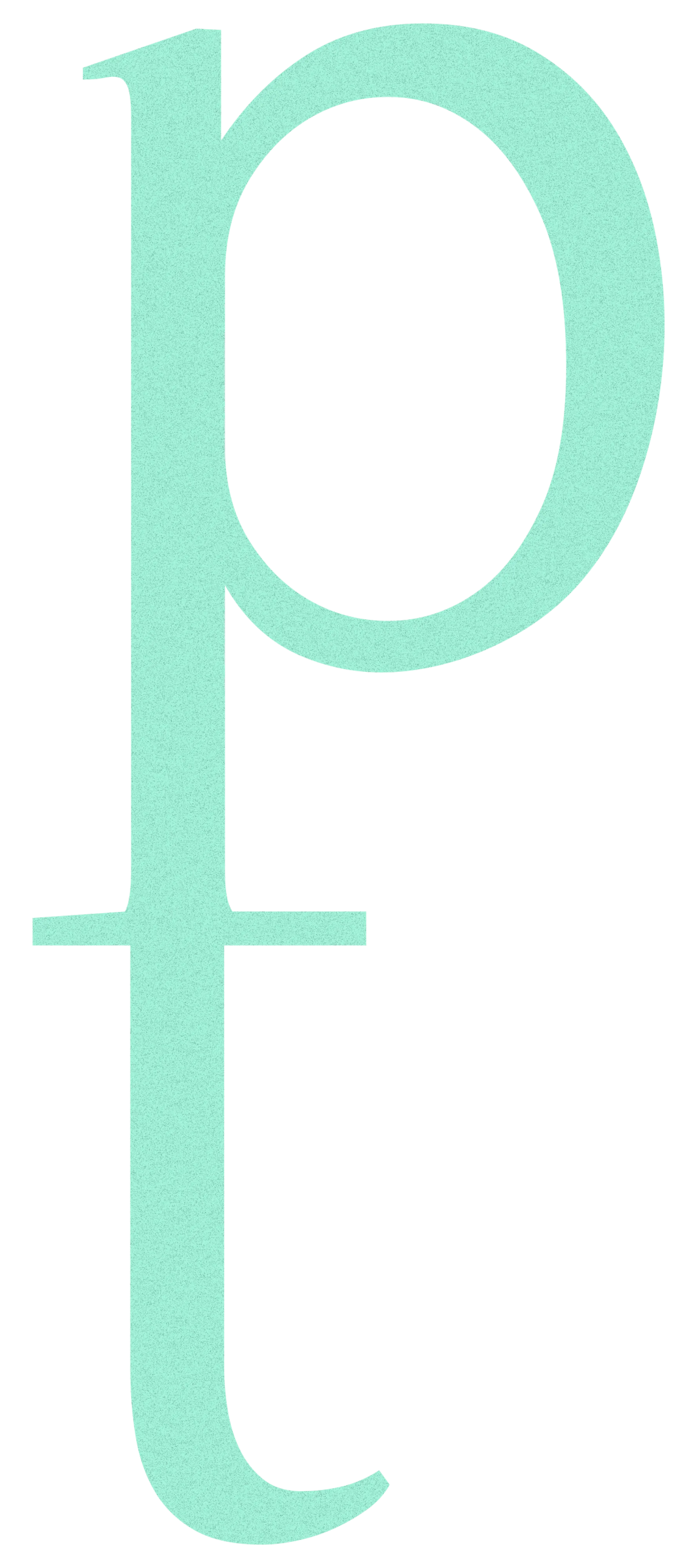 Permatrip 'PT' Logo